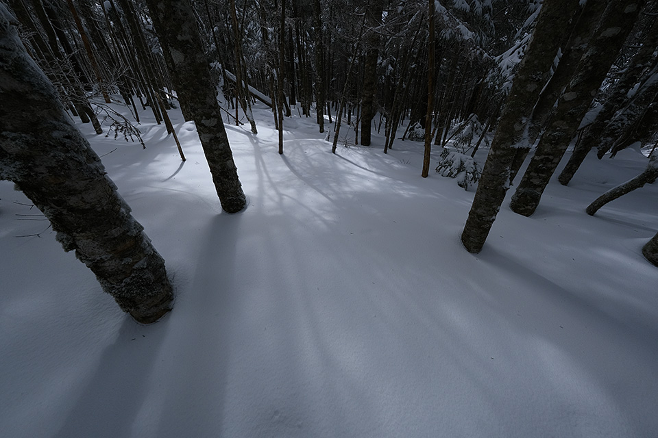 富士フイルム 東京カメラ部10選 長尾岬生氏、コンテスト入賞者 高橋直哉氏、司会 鈴木文彦「Xシリーズでみる世界」｜東京カメラ部2019写真展