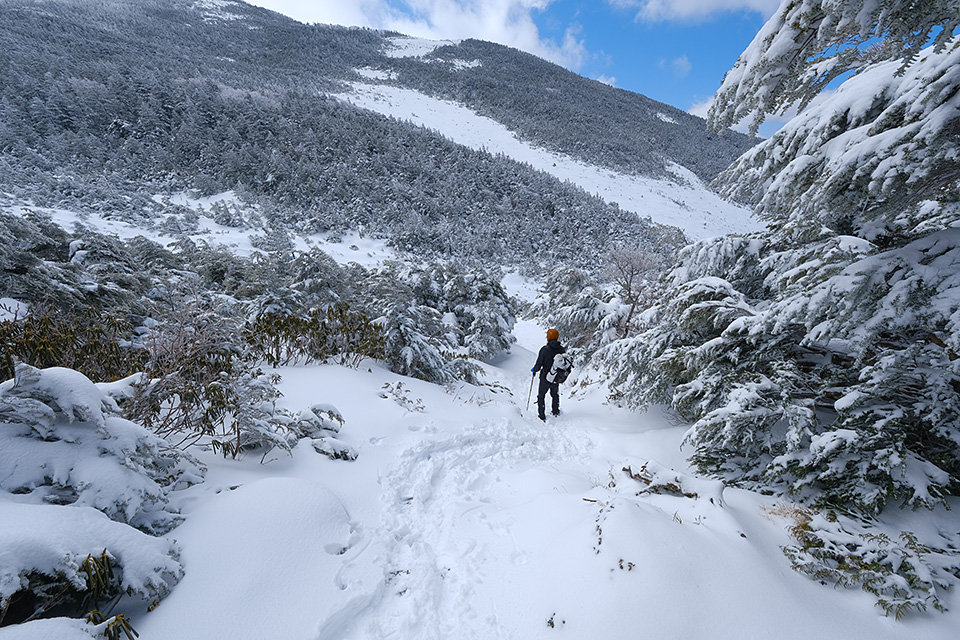 富士フイルム 東京カメラ部10選 長尾岬生氏、コンテスト入賞者 高橋直哉氏、司会 鈴木文彦「Xシリーズでみる世界」｜東京カメラ部2019写真展