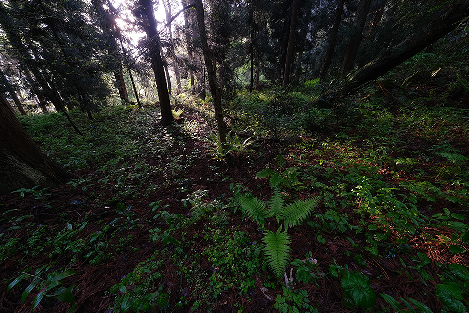 富士フイルム 東京カメラ部10選 長尾岬生氏、コンテスト入賞者 高橋直哉氏、司会 鈴木文彦「Xシリーズでみる世界」｜東京カメラ部2019写真展
