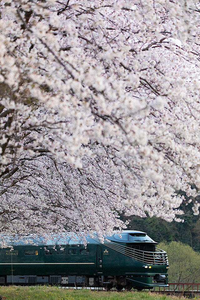 西日本旅客鉄道：東京カメラ部10選 柄木孝志氏、JR西日本 瑞風推進事業部長「TWILIGHT EXPRESS 瑞風の走る風景」