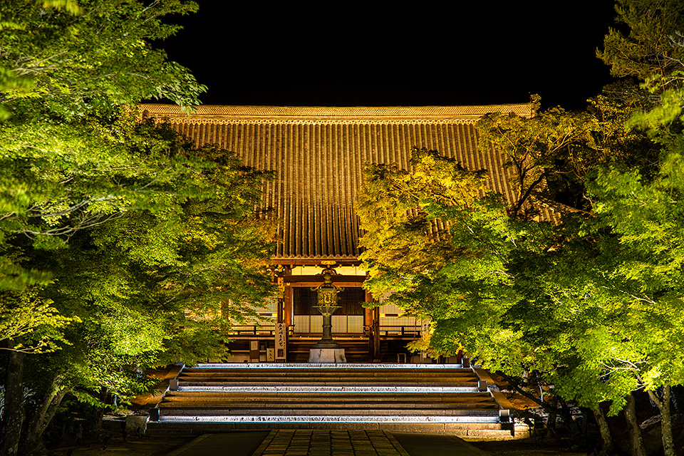 総本山仁和寺 執行長 真言宗御室派宗務総長 吉田正裕、東京カメラ部10選 柄木孝志、別所隆弘、浅岡省一、東京カメラ部運営「仁和寺×東京カメラ部　日本の文化財の美しさを後世に伝える　～青もみじライトアップ2019～」｜東京カメラ部2019写真展