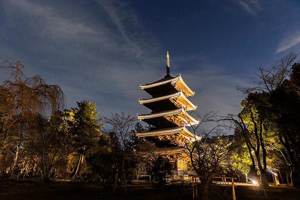 総本山仁和寺 執行長 真言宗御室派宗務総長 吉田正裕、東京カメラ部10選 柄木孝志、別所隆弘、浅岡省一、東京カメラ部運営「仁和寺×東京カメラ部　日本の文化財の美しさを後世に伝える　～青もみじライトアップ2019～」｜東京カメラ部2019写真展