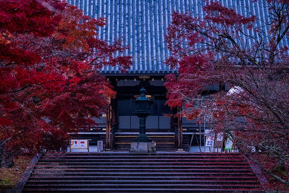 総本山仁和寺 執行長 真言宗御室派宗務総長 吉田正裕、東京カメラ部10選 柄木孝志、別所隆弘、浅岡省一、東京カメラ部運営「仁和寺×東京カメラ部　日本の文化財の美しさを後世に伝える　～青もみじライトアップ2019～」｜東京カメラ部2019写真展