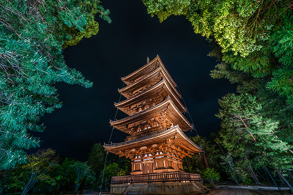 総本山仁和寺 執行長 真言宗御室派宗務総長 吉田正裕、東京カメラ部10選 柄木孝志、別所隆弘、浅岡省一、東京カメラ部運営「仁和寺×東京カメラ部　日本の文化財の美しさを後世に伝える　～青もみじライトアップ2019～」｜東京カメラ部2019写真展