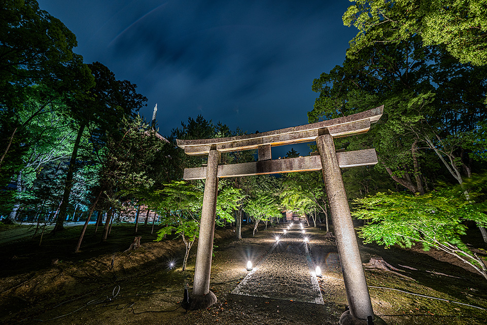 総本山仁和寺 執行長 真言宗御室派宗務総長 吉田正裕、東京カメラ部10選 柄木孝志、別所隆弘、浅岡省一、東京カメラ部運営「仁和寺×東京カメラ部　日本の文化財の美しさを後世に伝える　～青もみじライトアップ2019～」｜東京カメラ部2019写真展