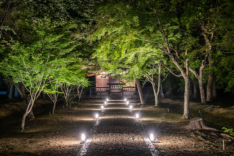 総本山仁和寺 執行長 真言宗御室派宗務総長 吉田正裕、東京カメラ部10選 柄木孝志、別所隆弘、浅岡省一、東京カメラ部運営「仁和寺×東京カメラ部　日本の文化財の美しさを後世に伝える　～青もみじライトアップ2019～」｜東京カメラ部2019写真展