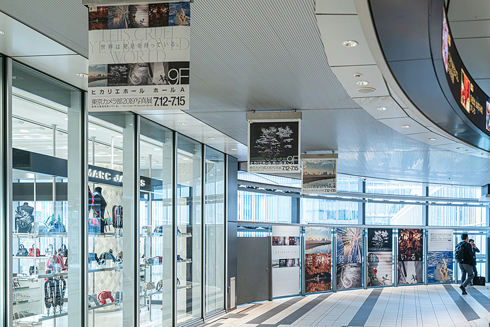 写真展の様子：東京カメラ部2019写真展