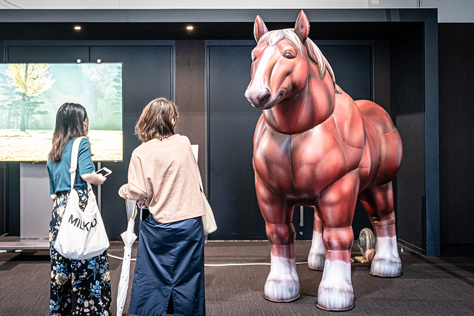 ブースレポート：東京カメラ部2019写真展