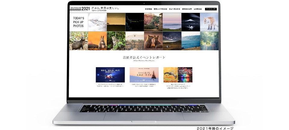 オンライン展示