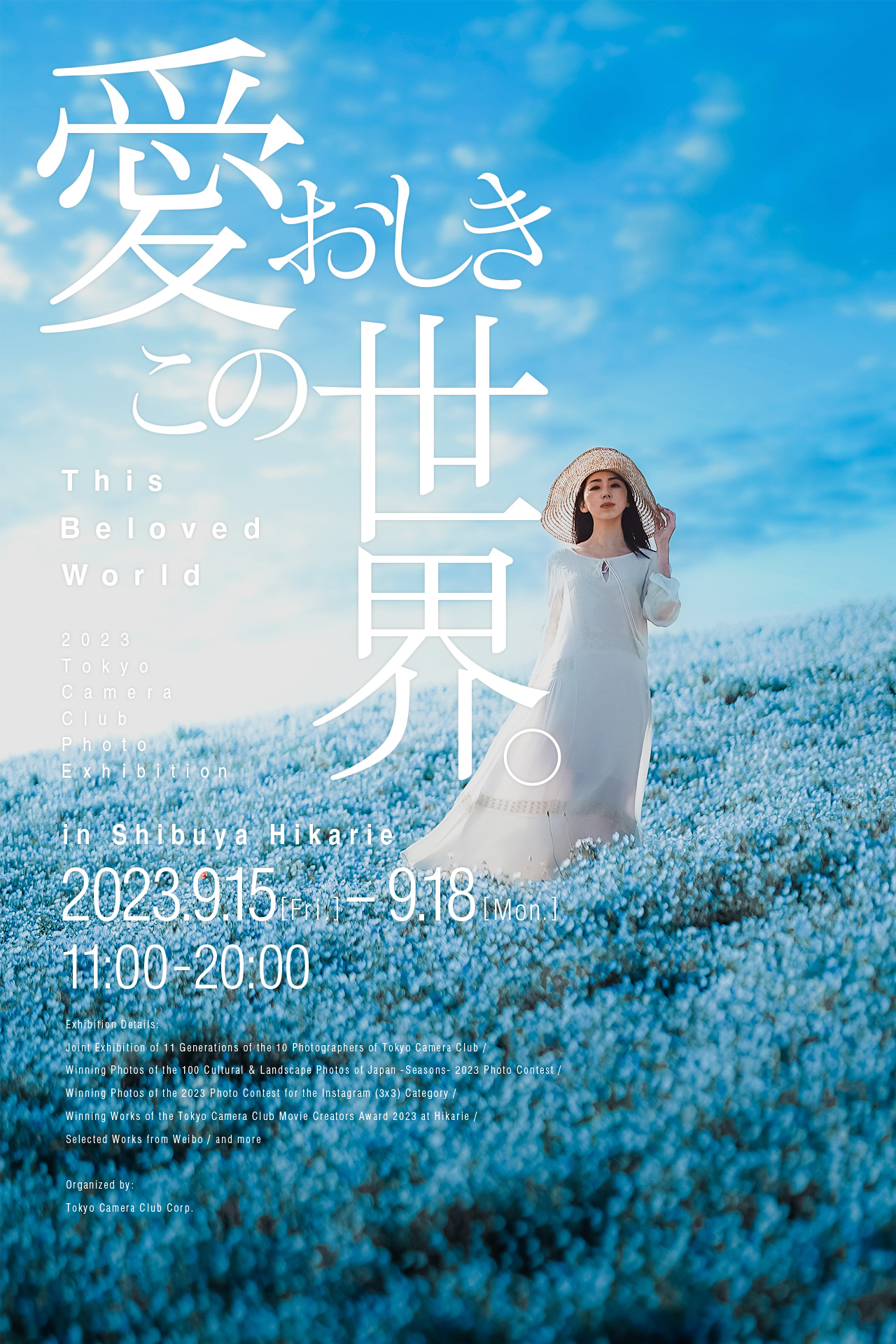 写愛おしきこの世界。