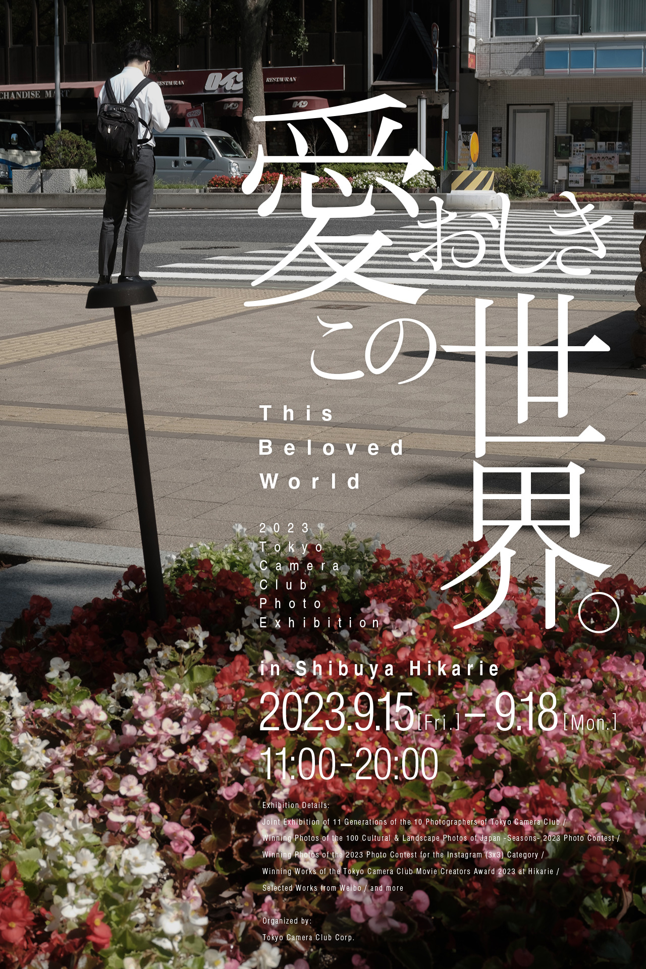 写愛おしきこの世界。