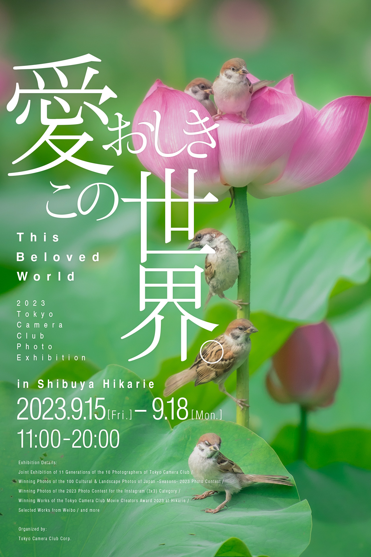 写愛おしきこの世界。