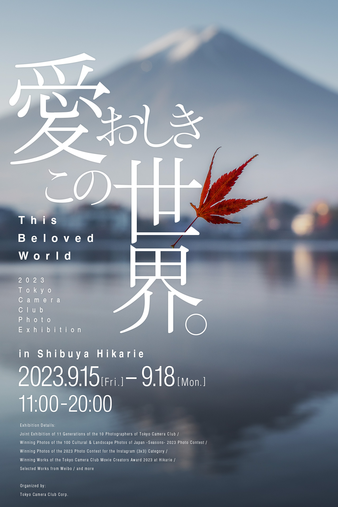 写愛おしきこの世界。