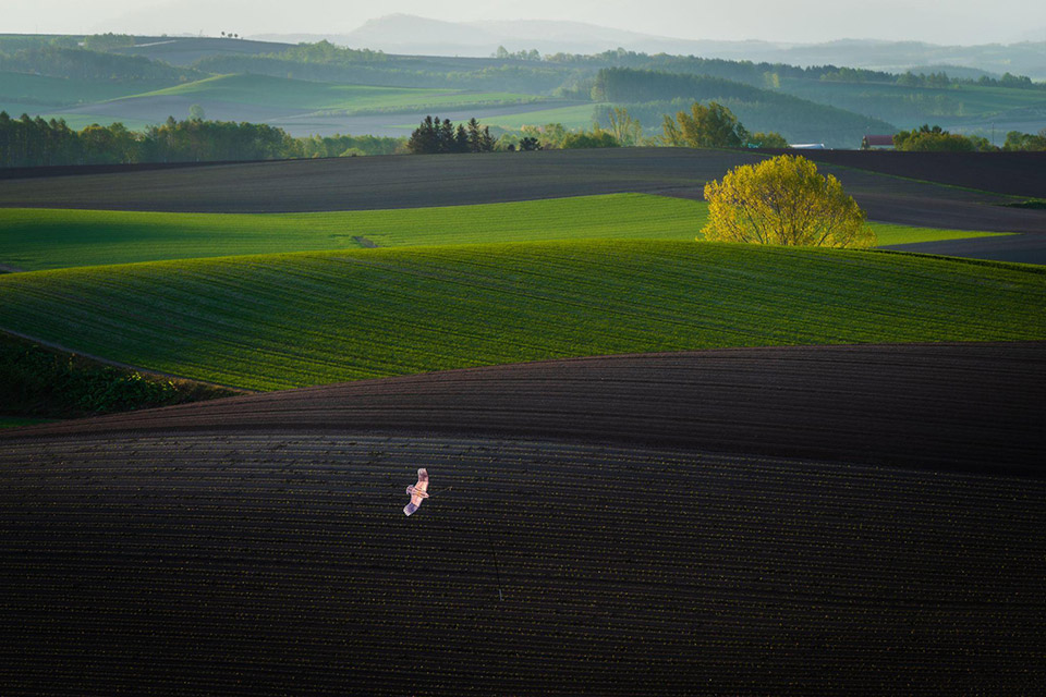 美瑛町（NPO法人 美瑛町写真映像協会）「美瑛町が目指す「新しい風景写真の聖地」～「みんなの美瑛町」であり続けるために～」