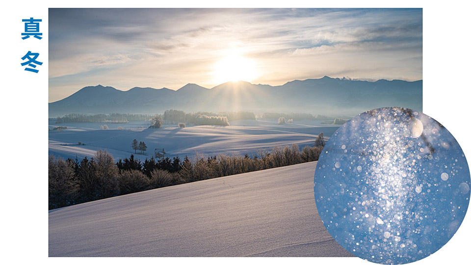 美瑛町（NPO法人 美瑛町写真映像協会）「美瑛町が目指す「新しい風景写真の聖地」～「みんなの美瑛町」であり続けるために～」