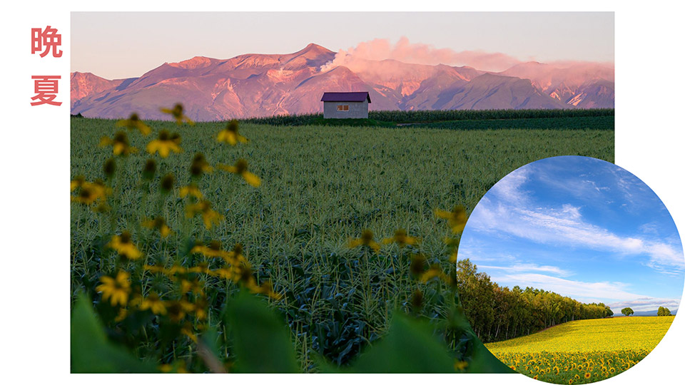 美瑛町（NPO法人 美瑛町写真映像協会）「美瑛町が目指す「新しい風景写真の聖地」～「みんなの美瑛町」であり続けるために～」