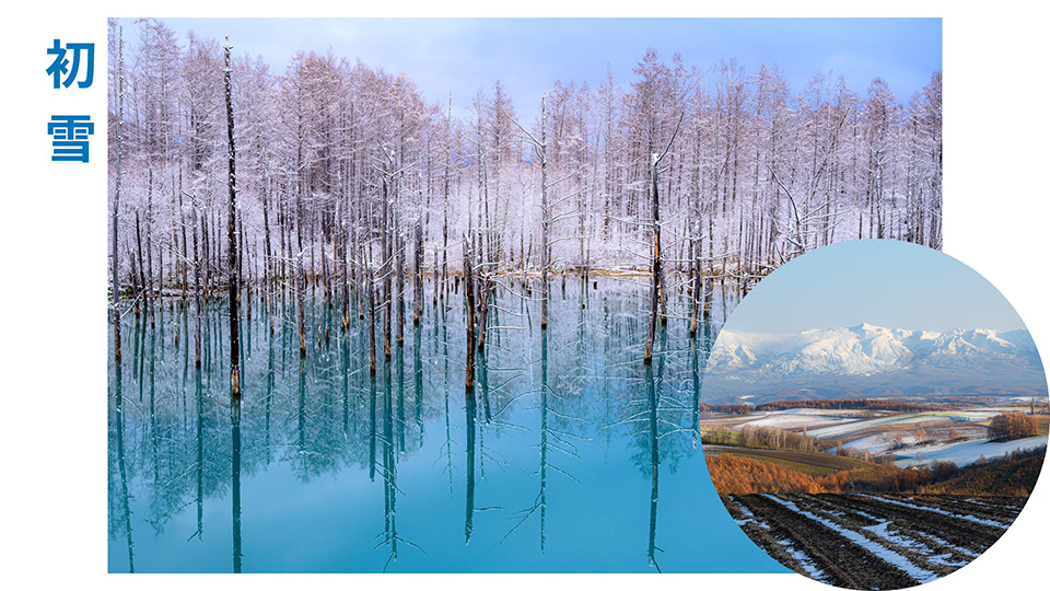 美瑛町（NPO法人 美瑛町写真映像協会）「美瑛町が目指す「新しい風景写真の聖地」～「みんなの美瑛町」であり続けるために～」