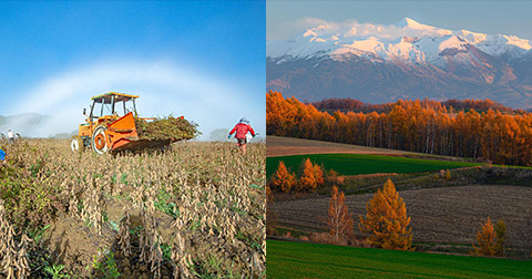 美瑛町が目指す「新しい風景写真の聖地」～「みんなの美瑛町」であり続けるために～