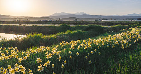 北海道の中心で写真愛をさけぶー東川町