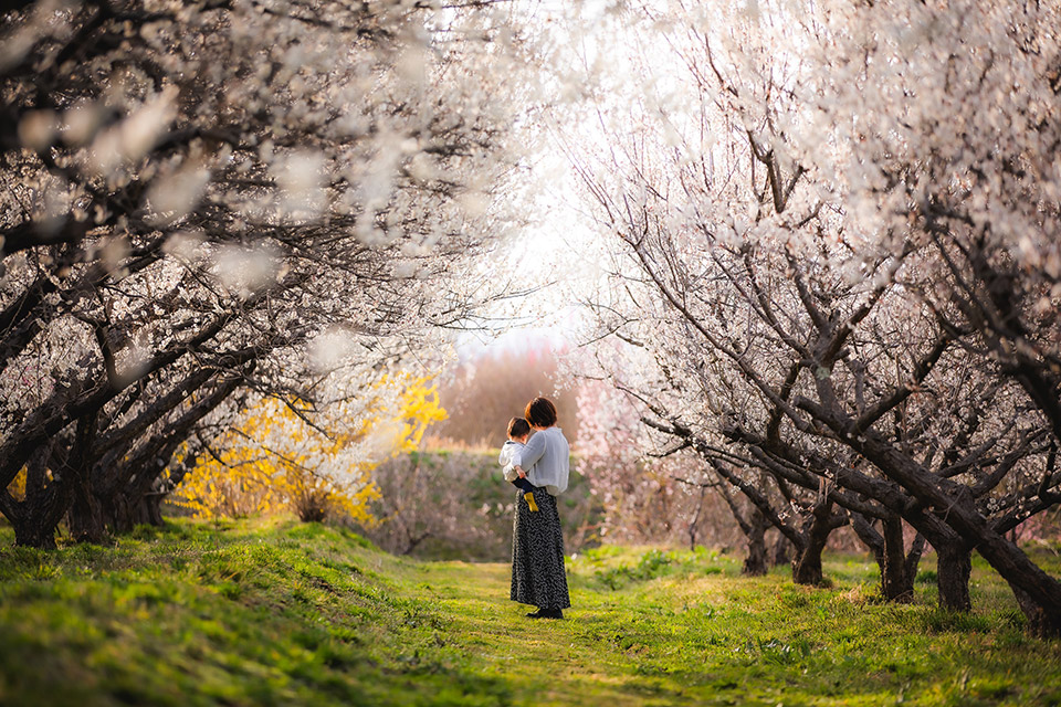 こおりやま広域圏「こおりやま広域圏の魅力を高めるカメラの可能性」