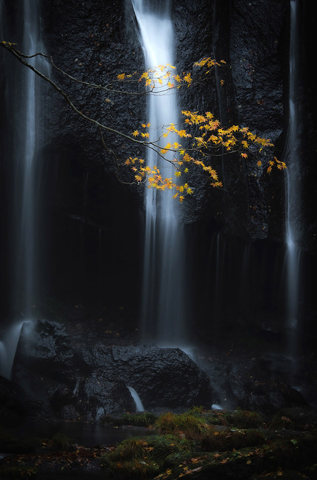 こおりやま広域圏「こおりやま広域圏の魅力を高めるカメラの可能性」