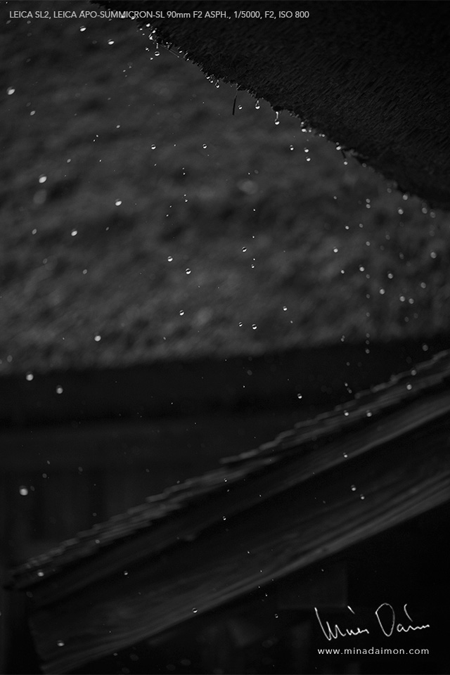 大門美奈が撮った踊りの文化― LEICA x LUMIX ―