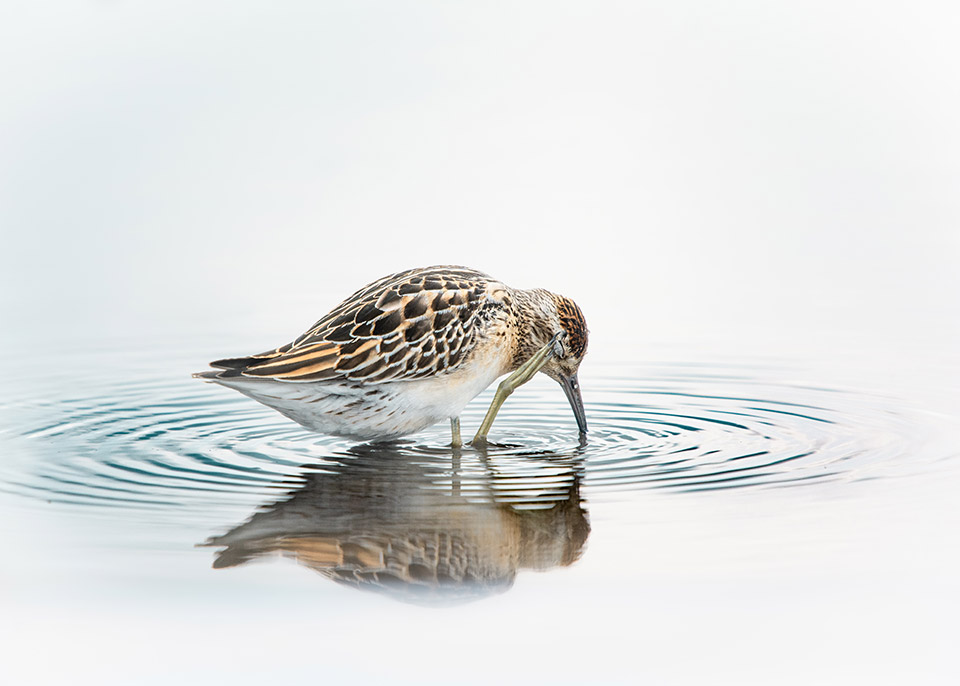 ニコンイメージングジャパン「東京カメラ部10選U-22トークショー　～次世代クリエイターの現在地～」