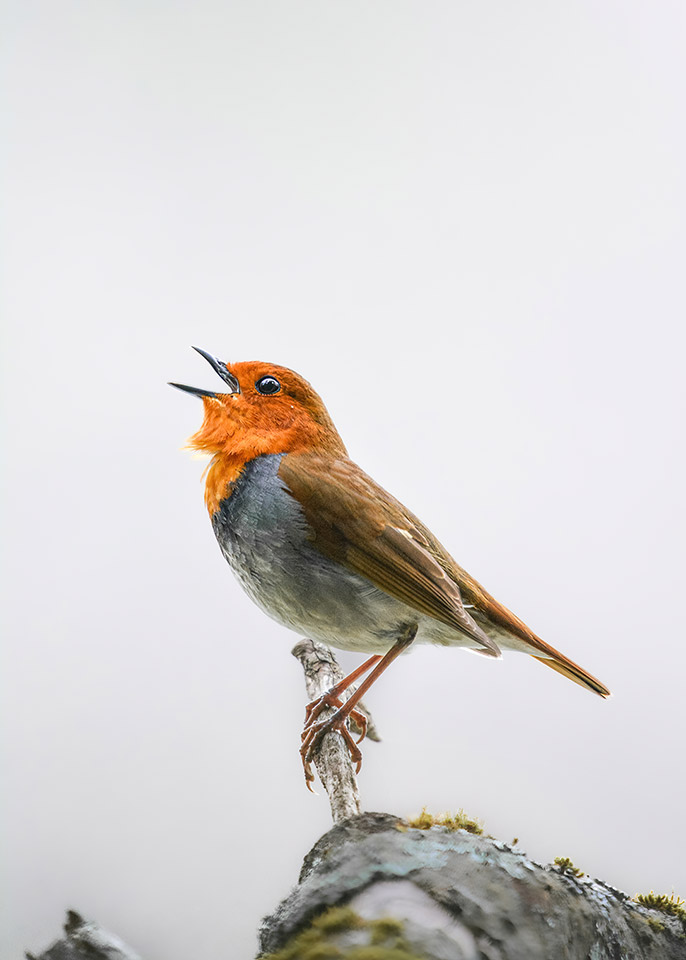 ニコンイメージングジャパン「東京カメラ部10選U-22トークショー　～次世代クリエイターの現在地～」