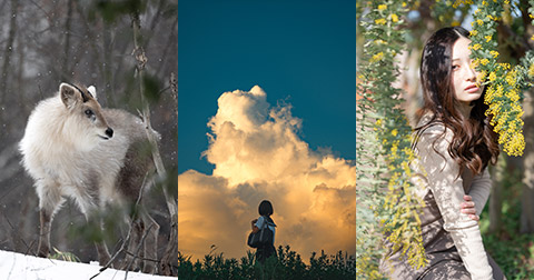 東京カメラ部10選U-22トークショー　～次世代クリエイターの現在地～