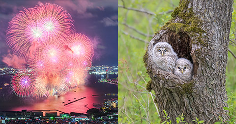 Zシリーズが切り拓くカメラの未来　～Nikon Creatorsが描く究極の1枚～