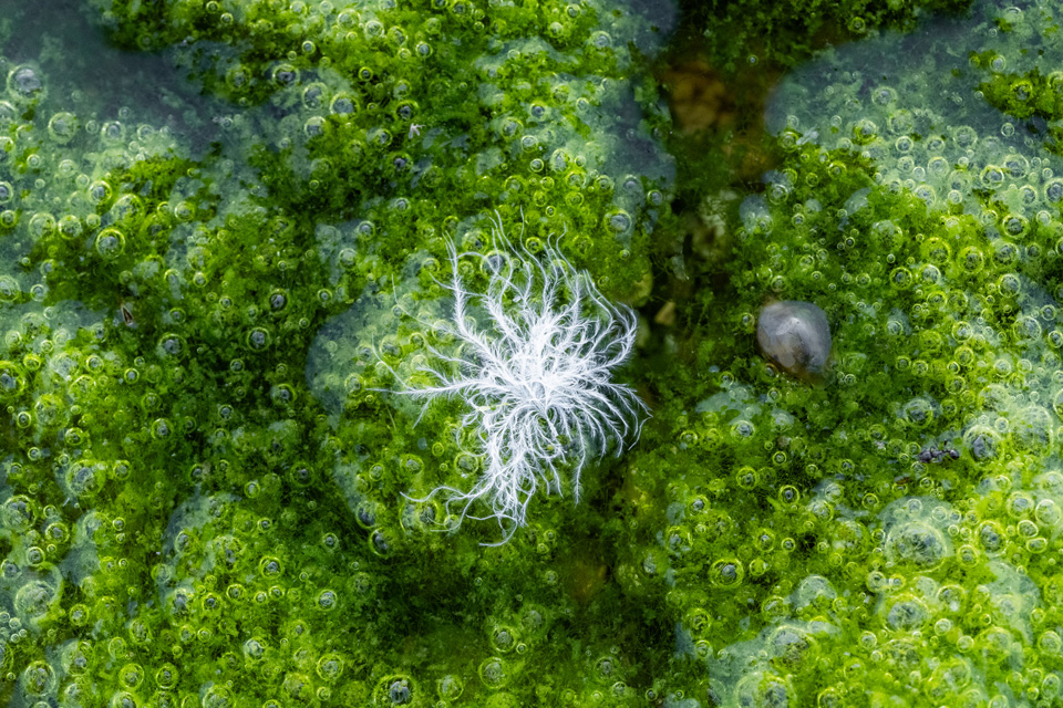 株式会社ニコンイメージングジャパン「東京カメラ部10選U-22トークショー　～次世代クリエイターたちの挑戦～」