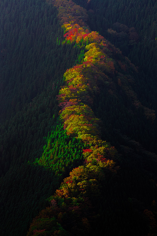 【東京カメラ部2025写真展】クロージングセッション『「好き」でつながる』