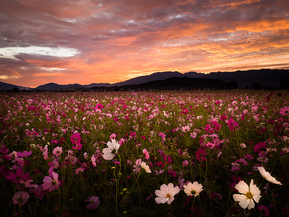 【東京カメラ部2025写真展】クロージングセッション『「好き」でつながる』