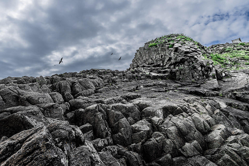 「地球探索鉄道 花咲線 世界的絶景を目撃する旅　─ presented by北海道 根室市 ─」