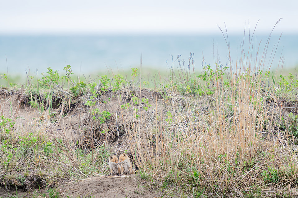 「地球探索鉄道 花咲線 世界的絶景を目撃する旅　─ presented by北海道 根室市 ─」