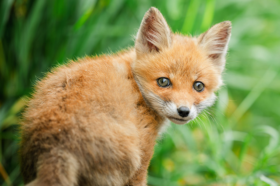 「地球探索鉄道 花咲線 世界的絶景を目撃する旅　─ presented by北海道 根室市 ─」