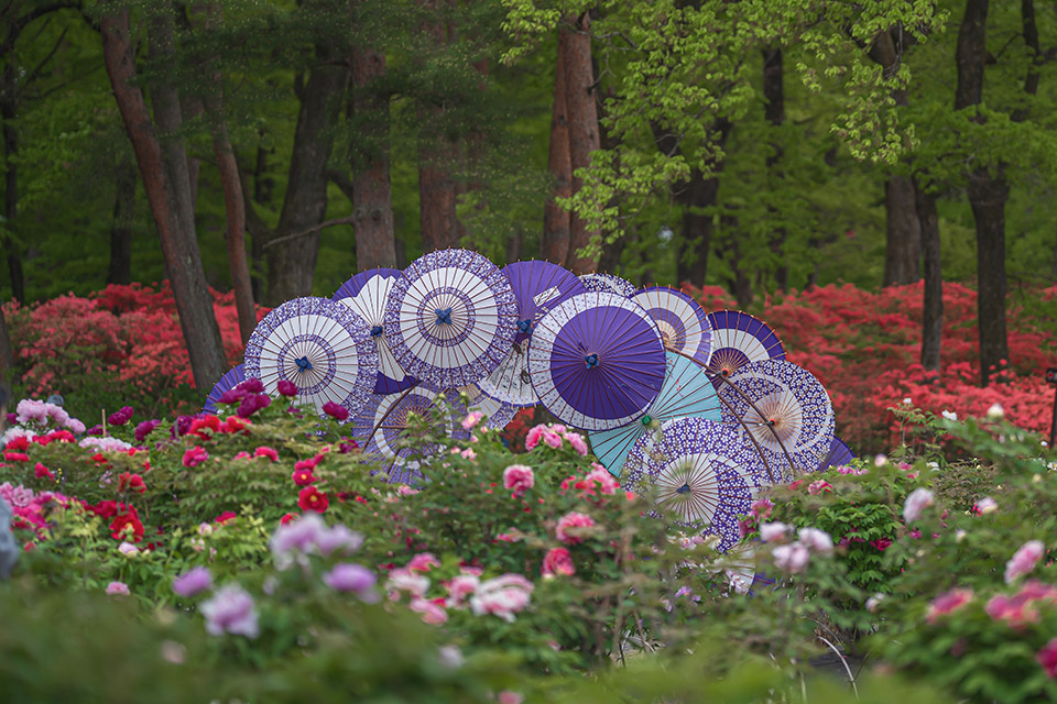 こおりやま広域圏「クローズアップこおりやま広域圏　〜伝えたい魅力〜」