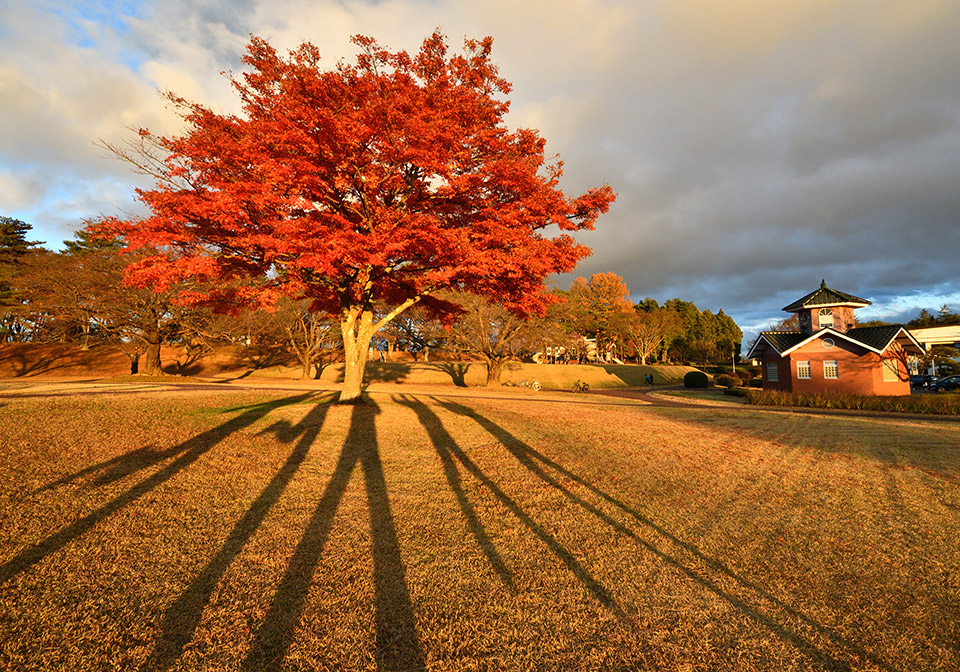 こおりやま広域圏「クローズアップこおりやま広域圏　〜伝えたい魅力〜」