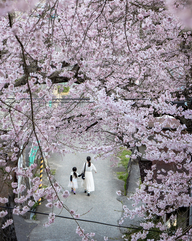 こおりやま広域圏「クローズアップこおりやま広域圏　〜伝えたい魅力〜」