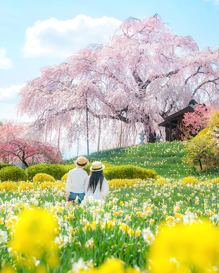 こおりやま広域圏「クローズアップこおりやま広域圏　〜伝えたい魅力〜」