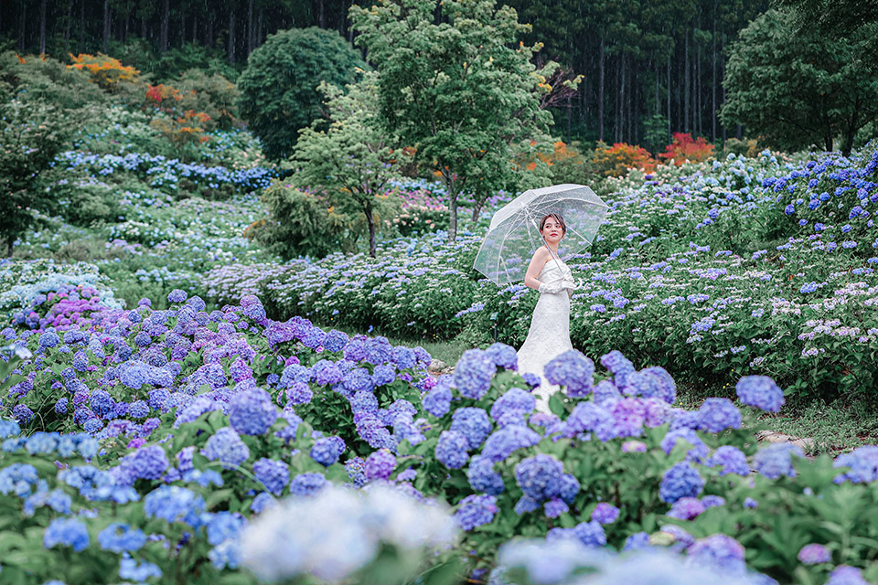 こおりやま広域圏「クローズアップこおりやま広域圏　〜伝えたい魅力〜」