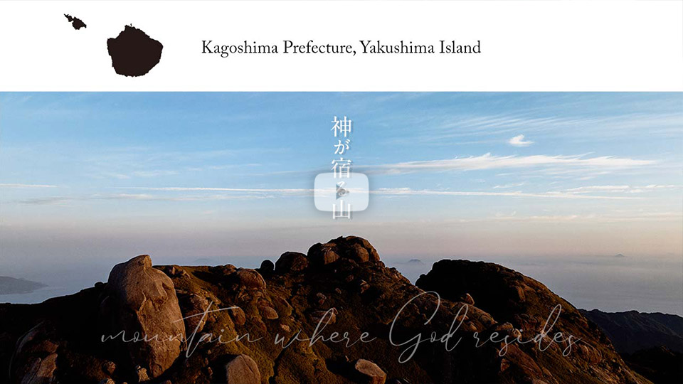 大沢忍さんの作品「屋久島。神が宿る山」