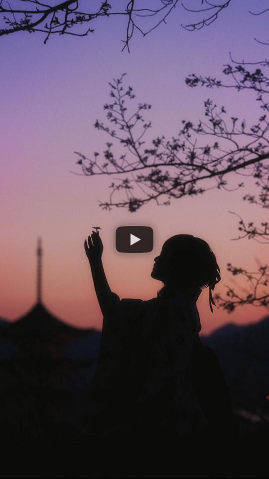 Ayuki.Sさんの作品「宮島の春」