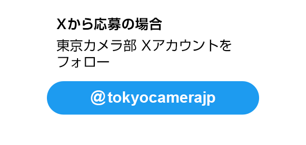 Xから応募の場合：東京カメラ部 Xアカウントをフォロー