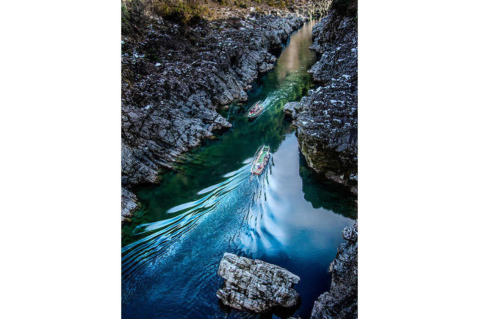 「祖谷のかずら橋」の作品